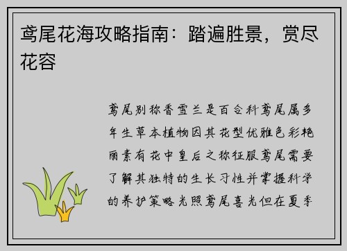 鸢尾花海攻略指南：踏遍胜景，赏尽花容